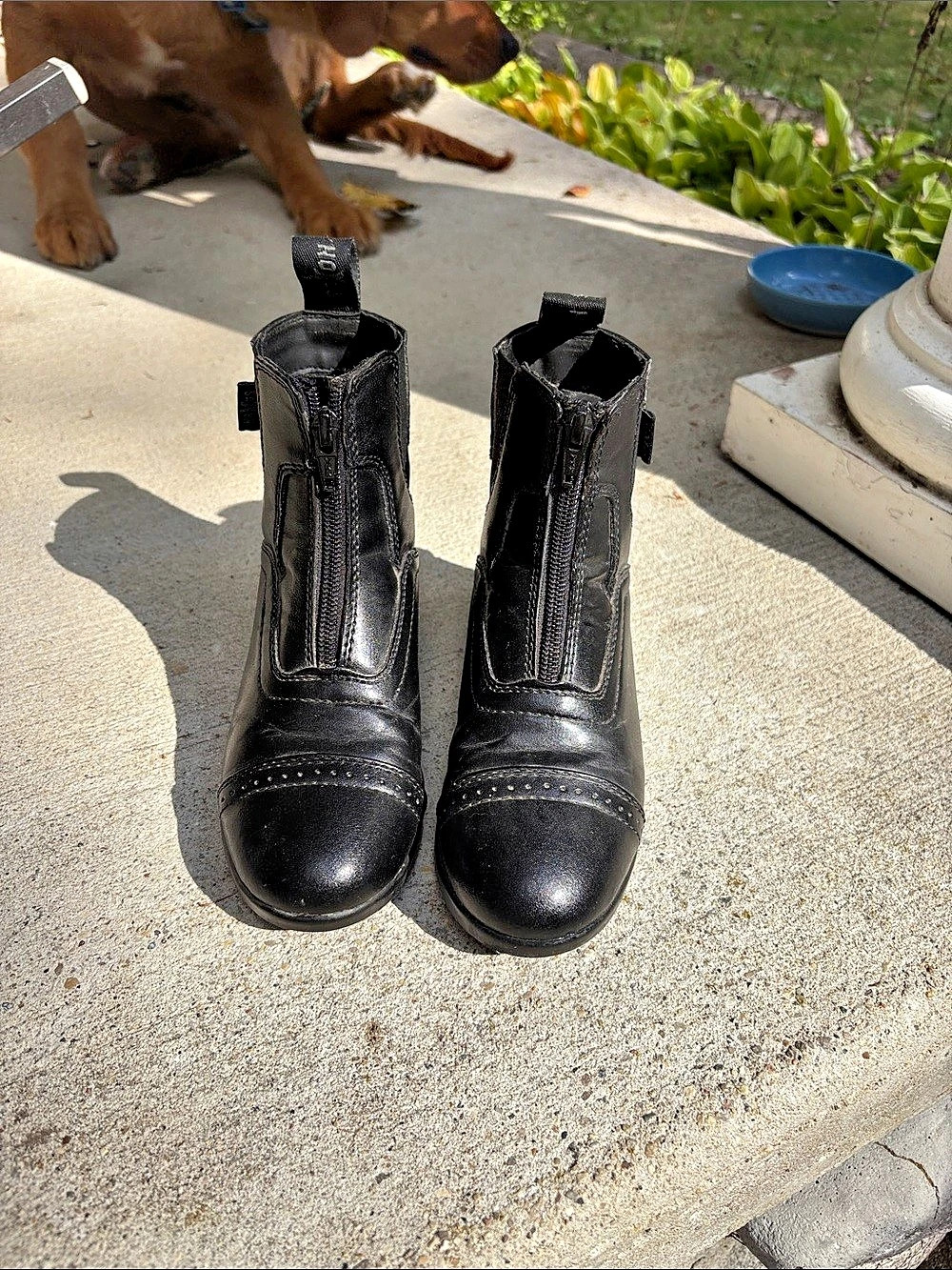 Kids paddock boots